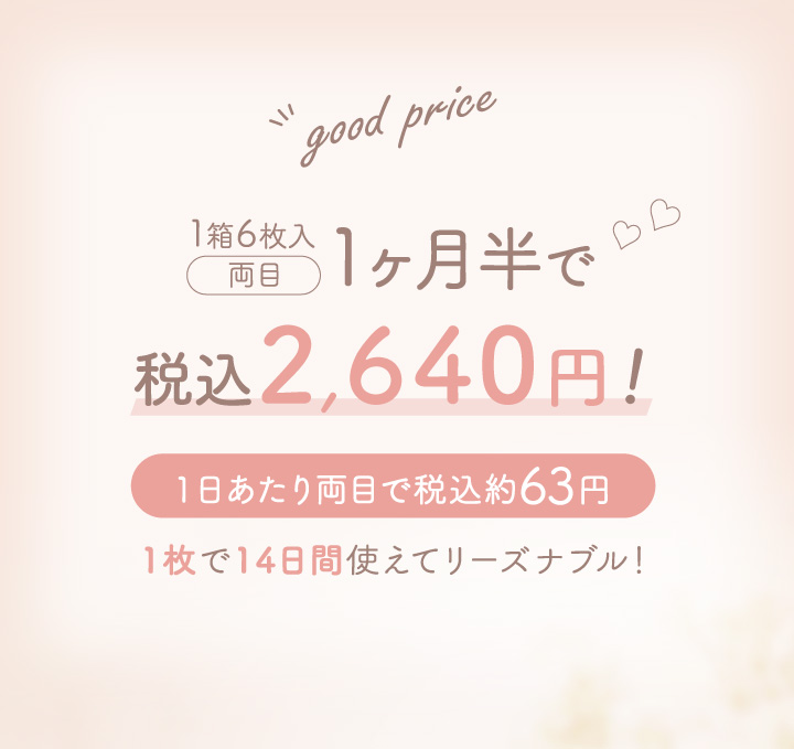 1ヶ月半で税込み2,640円